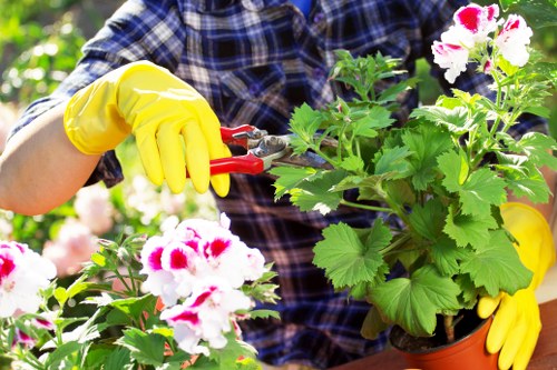 Garden waste loading and transparent pricing estimate in Sipson