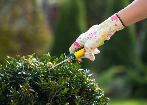 Gardeners Sipson working on a well-kept local garden