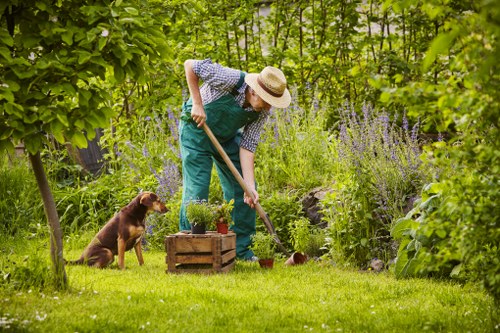 Seasonal lawn care in Sipson for a well-kept outdoor space