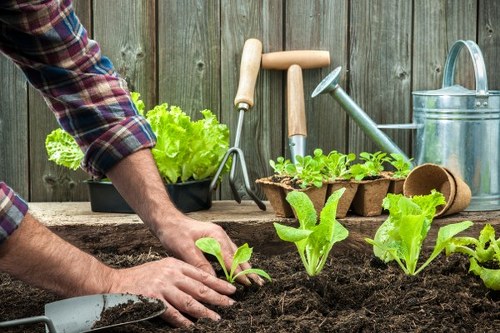 Landscape gardening in Sipson with a designed patio and planting