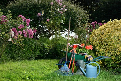 Careful hedge cutting and shaping for a healthy Sipson garden