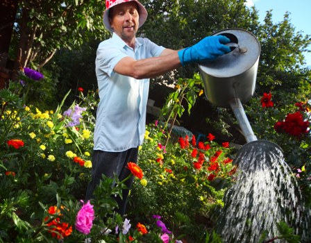 Residential garden upkeep in Sipson with seasonal planting