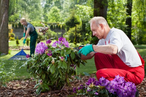 Regular hedge maintenance in Sipson for balanced green boundaries