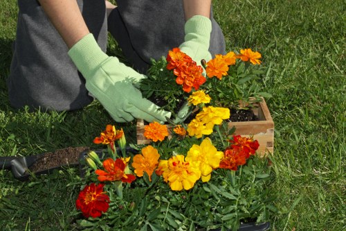 Professional garden waste collection and tidy-up in Sipson