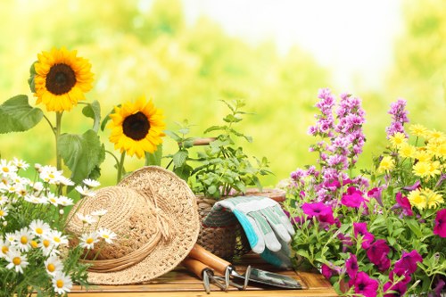 Professional garden maintenance and planting in Sipson