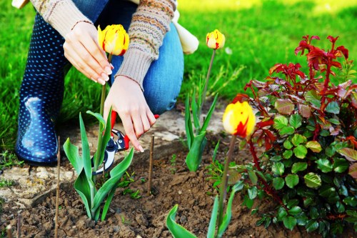 Low-maintenance garden design in Sipson with pathways and shrubs