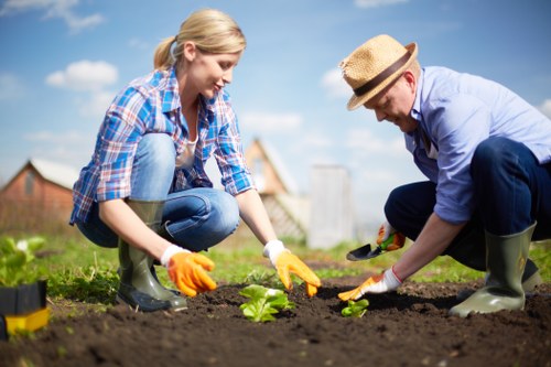 Professional gardening services in Sipson for outdoor spaces