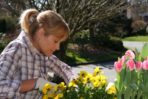 Careful assessment of garden hazards before work begins
