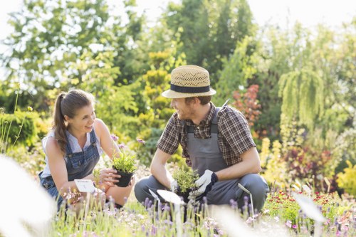 Tidy lawn mowing service in Sipson with clean garden edges