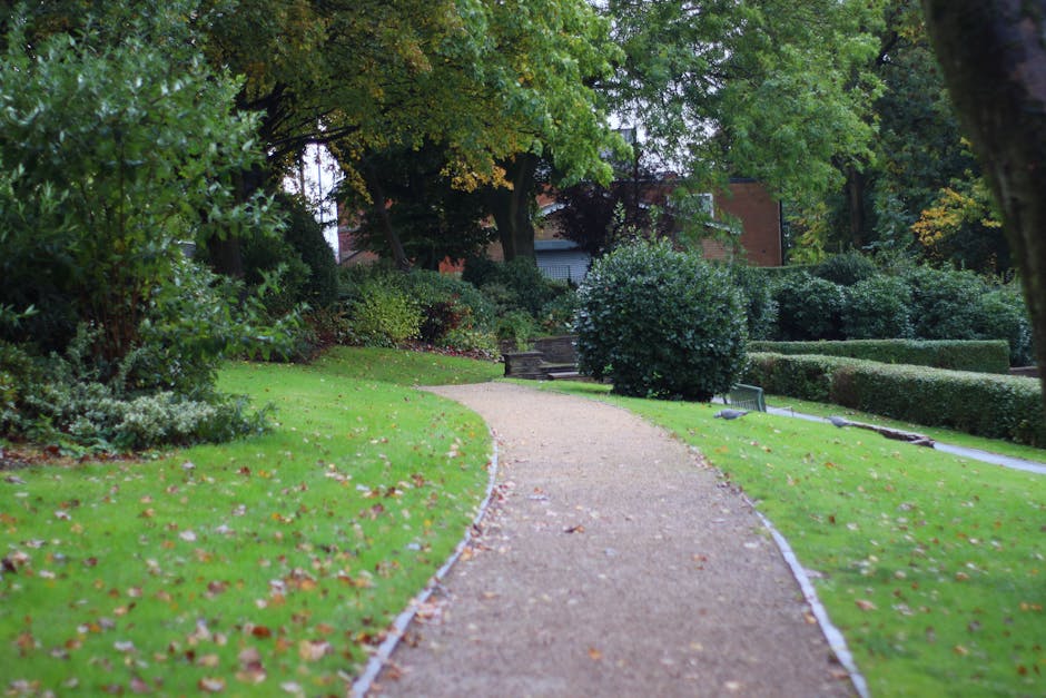 A paved garden pathway curves gently through a well-maintained outdoor space, bordered by lush, vibrant green grass and edged with slim white border trims. To the left, dense bushes with small, bright
