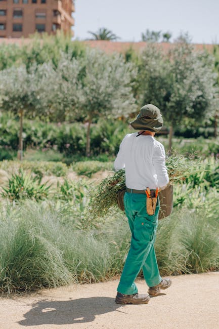 A gardener from Gardeners Sipson dressed in a white long-sleeve shirt, teal trousers, and a wide-brimmed hat, is walking along a well-maintained garden path holding a large sheaf of freshly cut, dried
